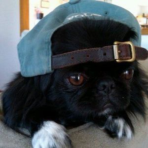 Meet your Posher, Galen